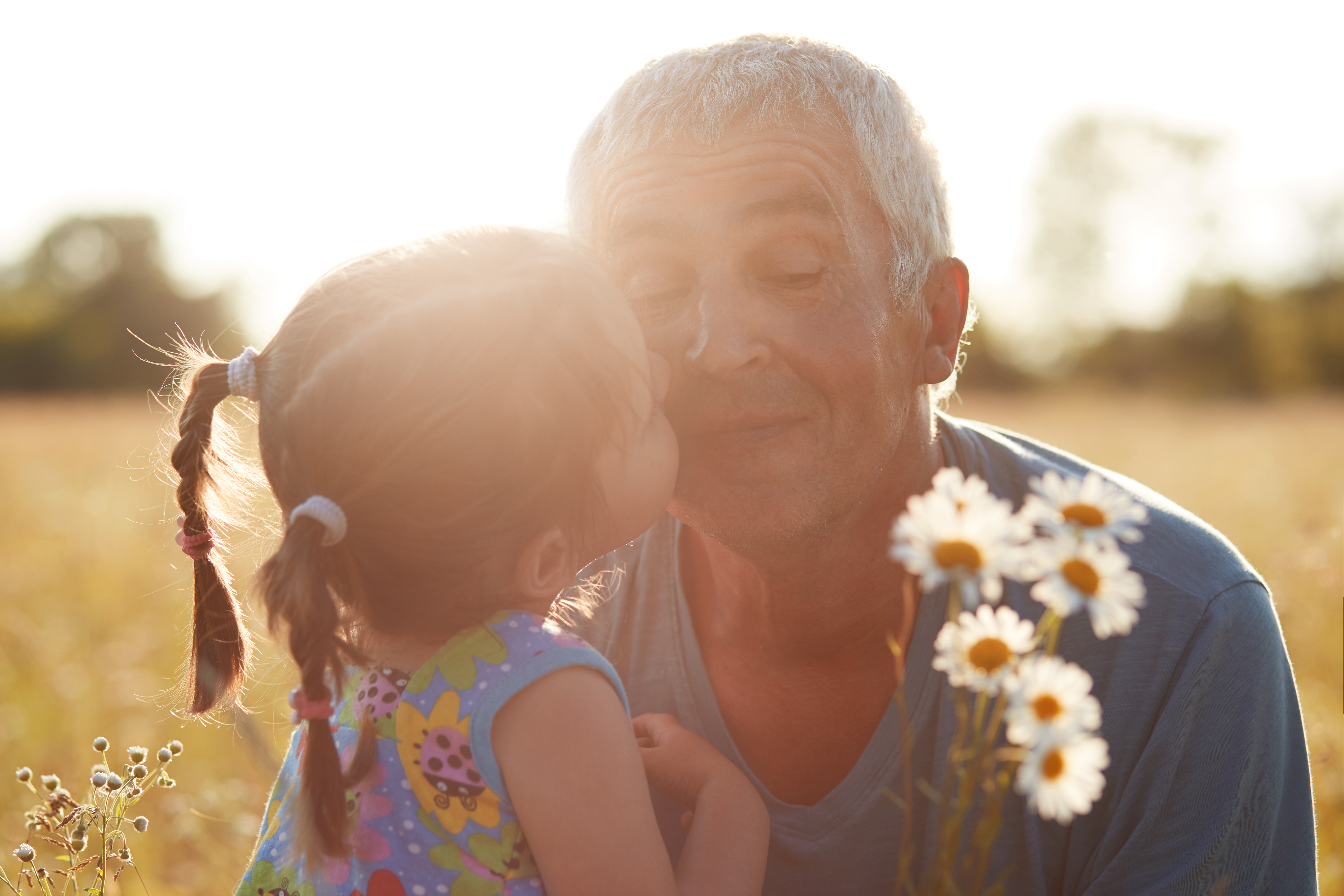 Close up shot of small grandchild embrace and kisses her grandfather who gives camomiles, have walk together in countryside, beautiful sunshine. Summer time concept. Pensioner with granddaughter